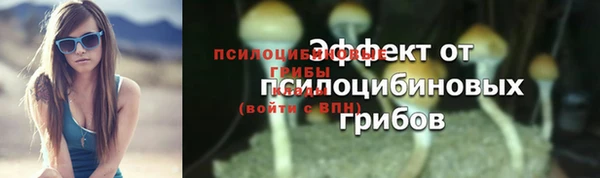 гидропоника Абаза