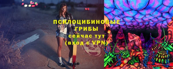 сатива Абдулино