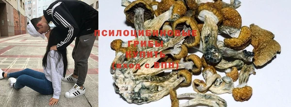 мескалин Абинск