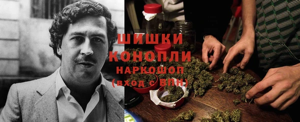 сатива Абдулино