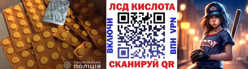 где найти наркотики  Братск  ЛСД экстази кислота 